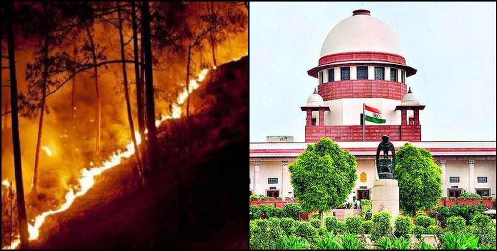 Uttarakhand forests fire: Hearing in the Supreme Court on fire in the forests of Uttarakhand