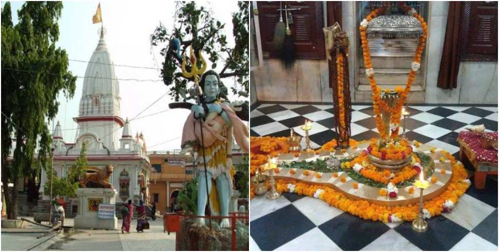 Worship Lord Shiva during Sawan: Visit Daksheshwar Mahadev Temple to Worship Lord Shiva during Sawan