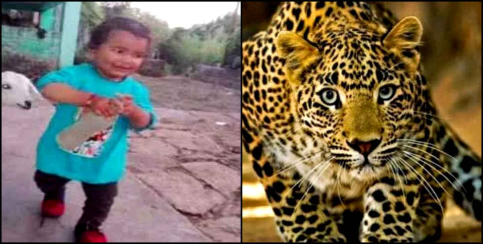 Leopard kill child: Leopard kill child in berinag