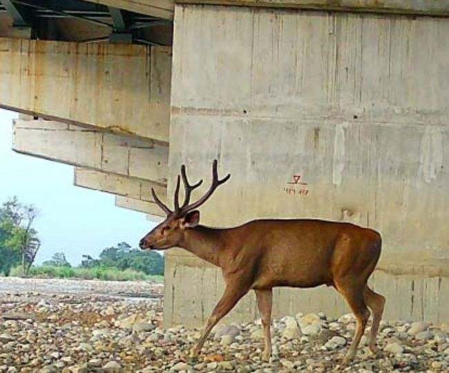 Delhi-Dehradun Expressway