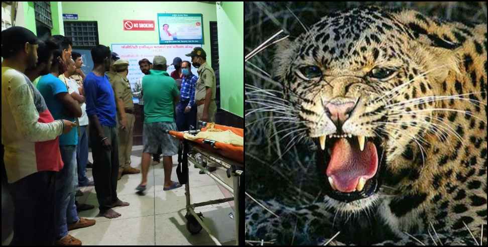 Nanakmatta Leopard attacks: Leopard attacks on 4 year kid in nanakmatta