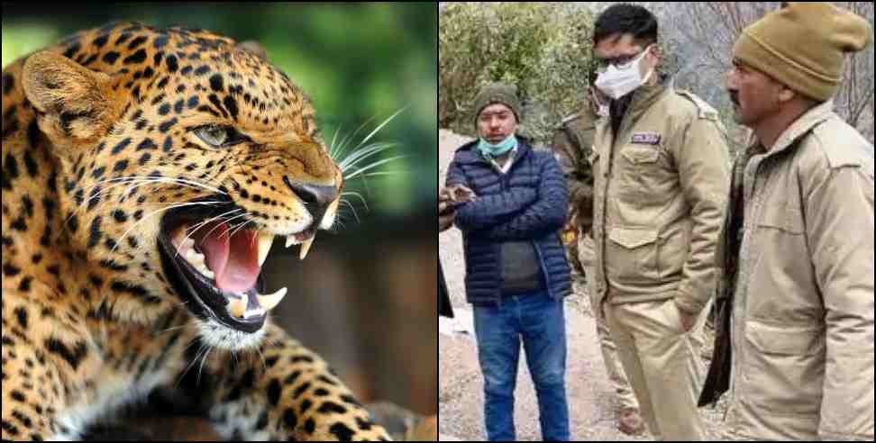 tehri garhwal pasar village leopard rajendra singh: Leopard hunted villager in Pasar village of Tehri Garhwal