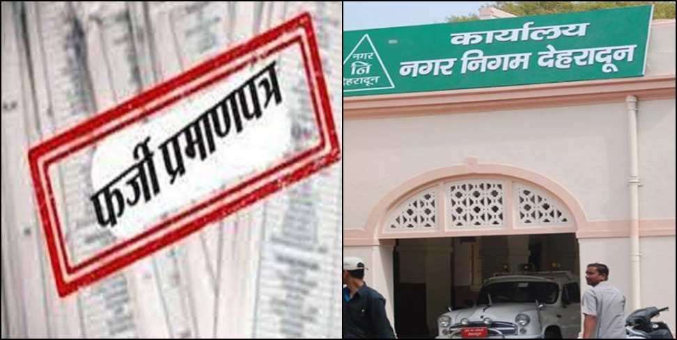 Fake Birth Certificate: American Woman Creates Fake Birth Certificate at Municipal Corporation