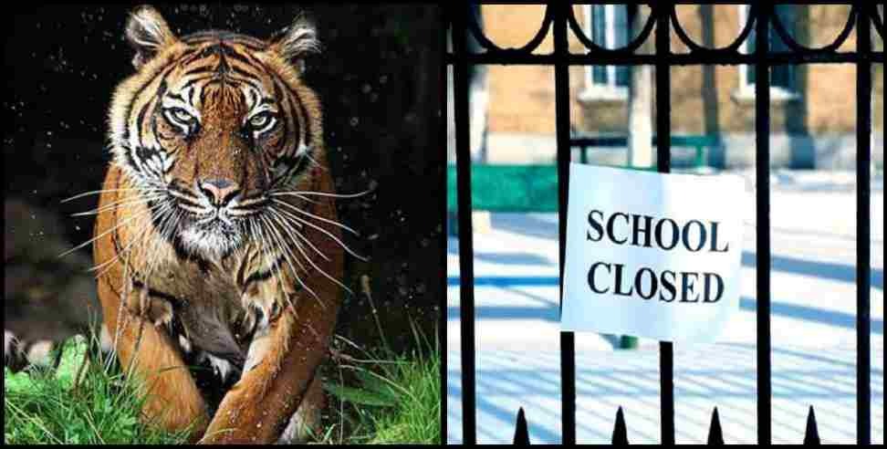 Pauri Garhwal tiger schools leave : Pauri Garhwal Rikhnikhal tiger two days leave for schools
