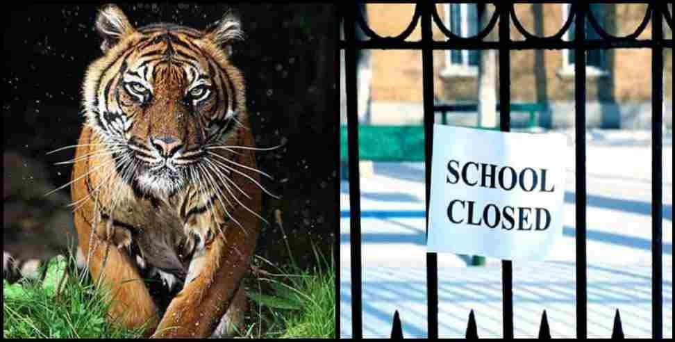 Pauri Garhwal tiger schools leave : Pauri Garhwal Rikhnikhal tiger two days leave for schools
