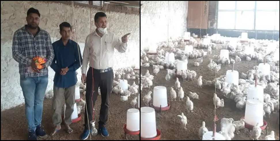 Yogendra negi Poultry farm tehri: Poultry farming yogendra negi ravindra negi and virendra negi tehri garhwal
