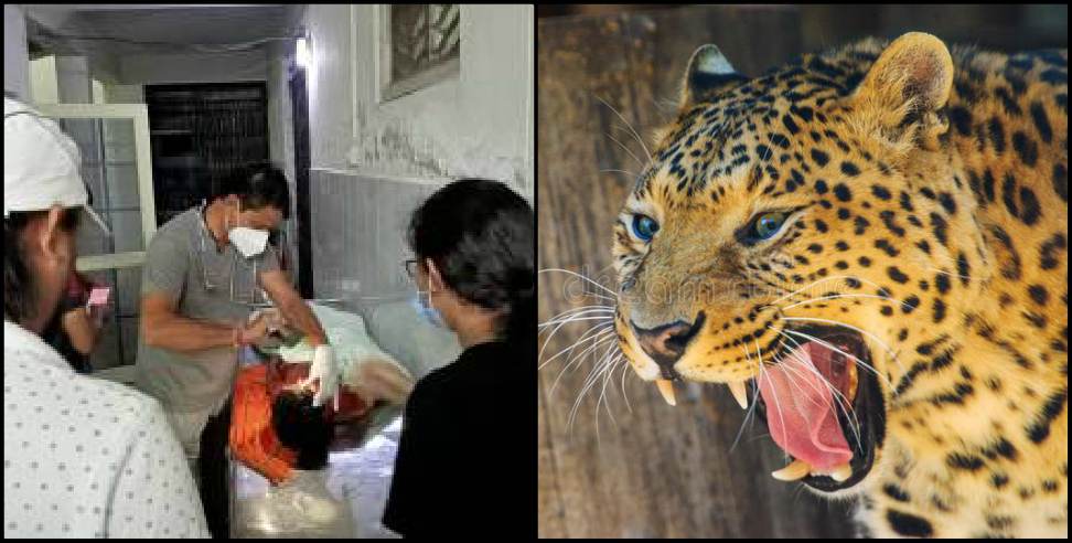 Pithoragarh News: Pithoragarh Leopard attacked 5-year-old girl in Bhattigaon