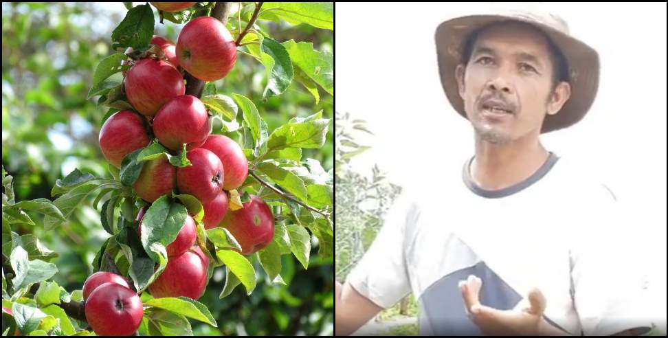 Pithoragarh News: Manoj Singh Khadayat apple horticulture of Pithoragarh