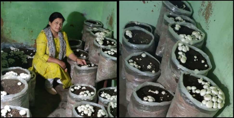 Hema Ethani Uttarakhand Police: Hema Ethani Uttarakhand Police Mushroop Manufacturer