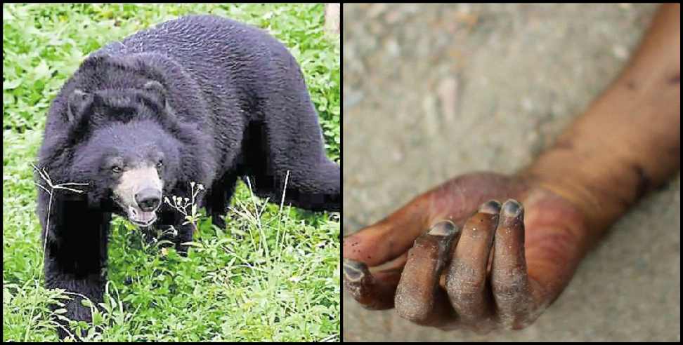 Pauri Garhwal Bear: Pauri garhwal bear attack one died