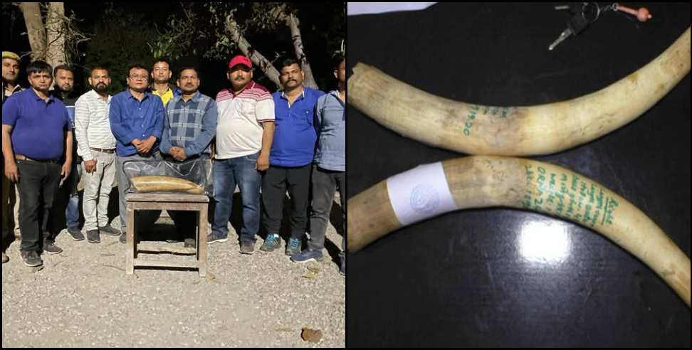 Udham Singh Nagar ivory: Ivory seized in Udham Singh Nagar