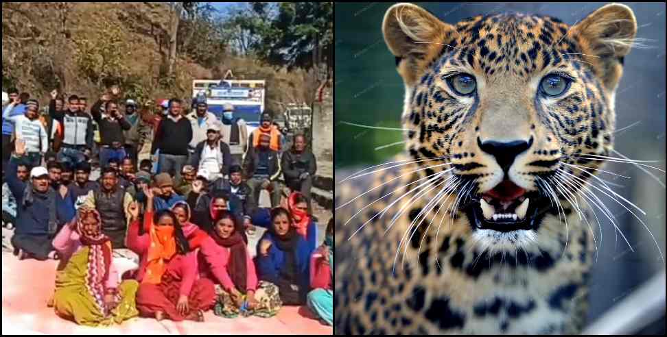 Pithoragarh News: Leopard hunted 3 women in Pithoragarh