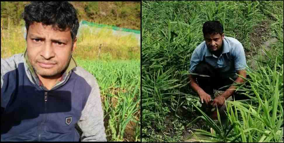 mahendra bisht chamoli farner: Mahendra Bisht of Chamoli Left Job and Start Farming Earning Good Money