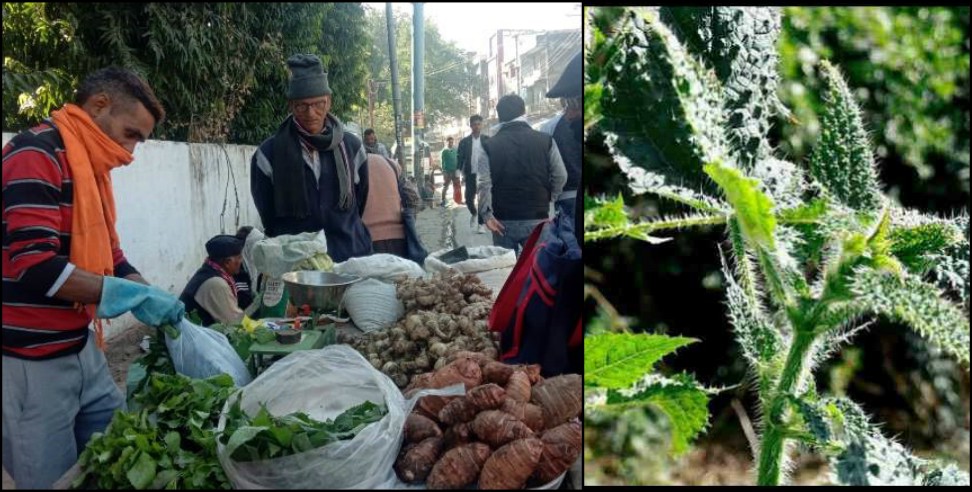 Kandali kotdwar: Kandali in kotdwar market