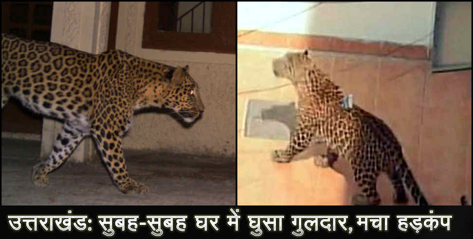 Leopard attack: Leopard enters home in almora