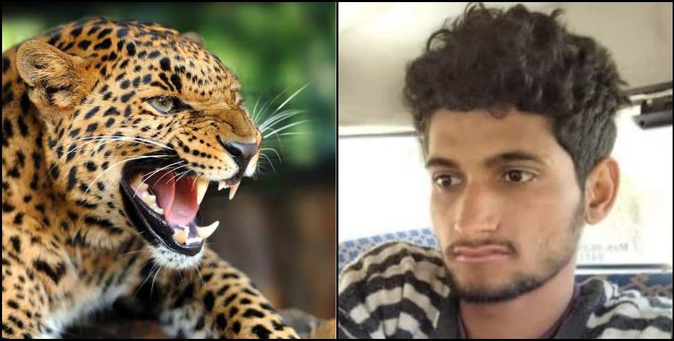 uttarkashi leopard: Leopard attacks Harish Negi in Uttarkashi Dunda