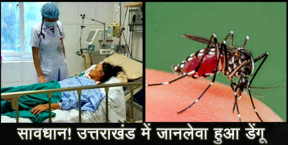 dengue virus: dengue virus in uttarakhand