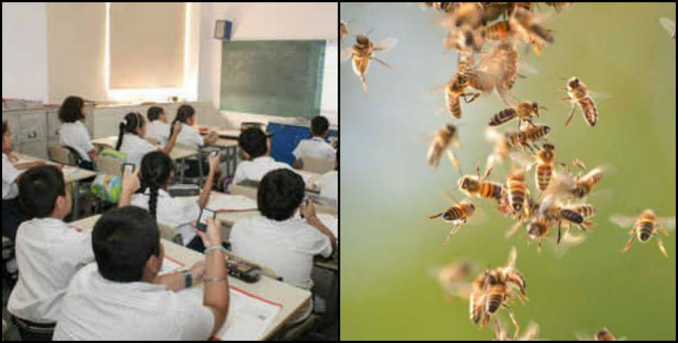 kashipur: bees entered classes during examination in kashipur