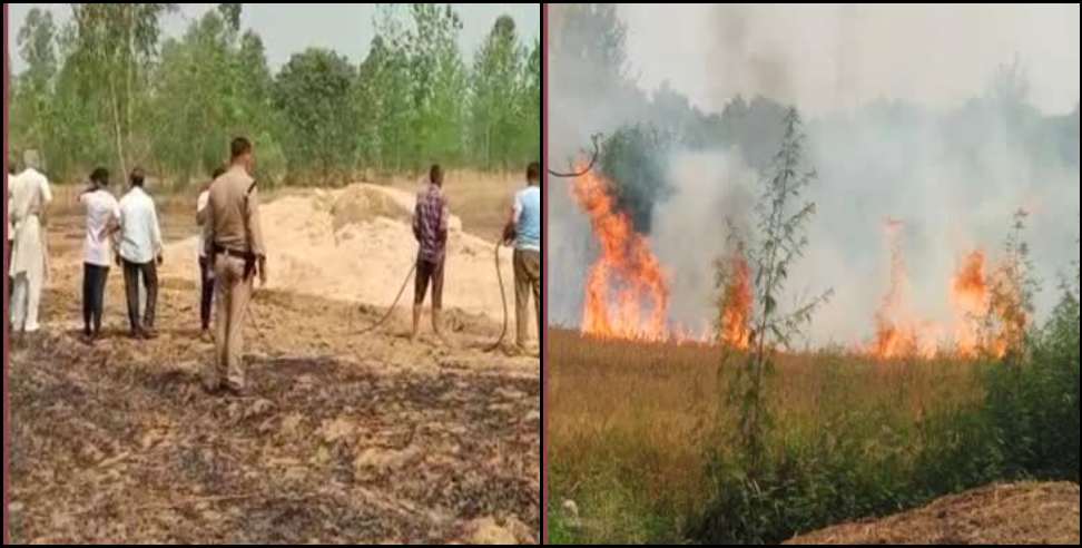 Roorkee News: Roorkee farm fire