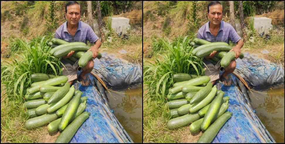 bageshwar farmer kishan rana: Story of farmer Kishan Rana of Bageshwar