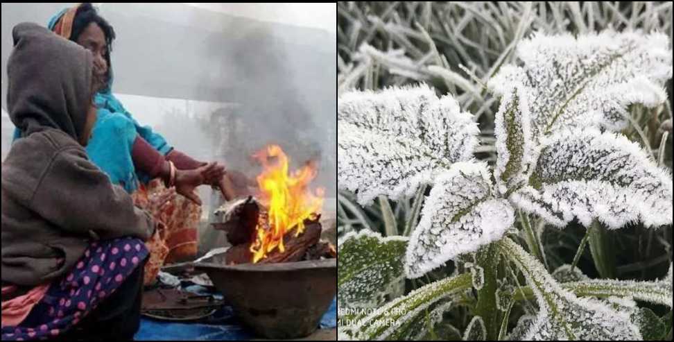 Uttarakhand Weather Update 11 January 2026