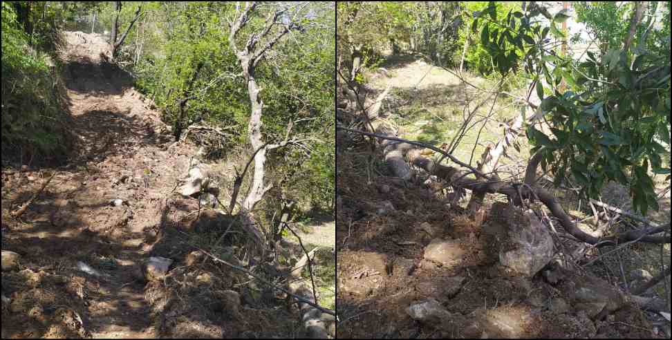 Coronavirus Uttarakhand: Coronavirus Uttarakhand:Chamoli tree cut by mining mafia