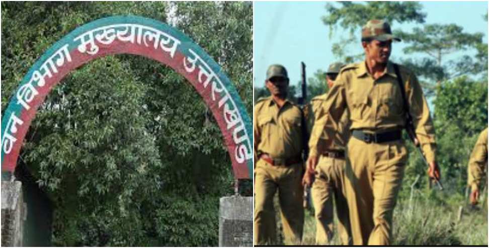 Uttarakhand Forest Guard: Waiting List Candidates Will Get A Chance in Uttarakhand Forest Guard