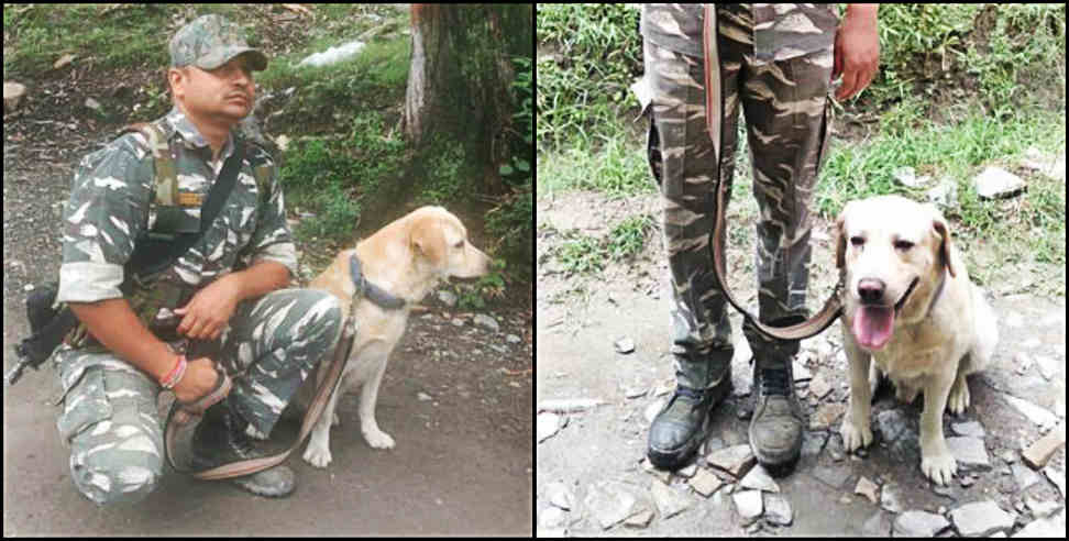 सीआरपीएफ कुत्ता अजॉक्सी: CRPF DOG found man trapped under debris