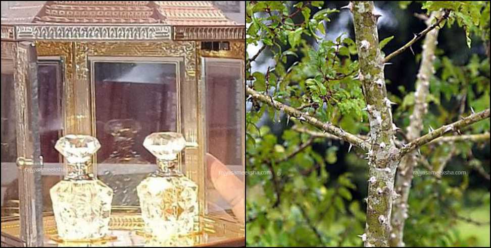 Uttarakhand Timru Perfume: Uttarakhand Timru Perfume Now in Global Market