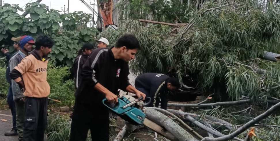 Kotdwar News Today: Tree Falls During Storm in Kotdwar 1 Dead and Another Injured