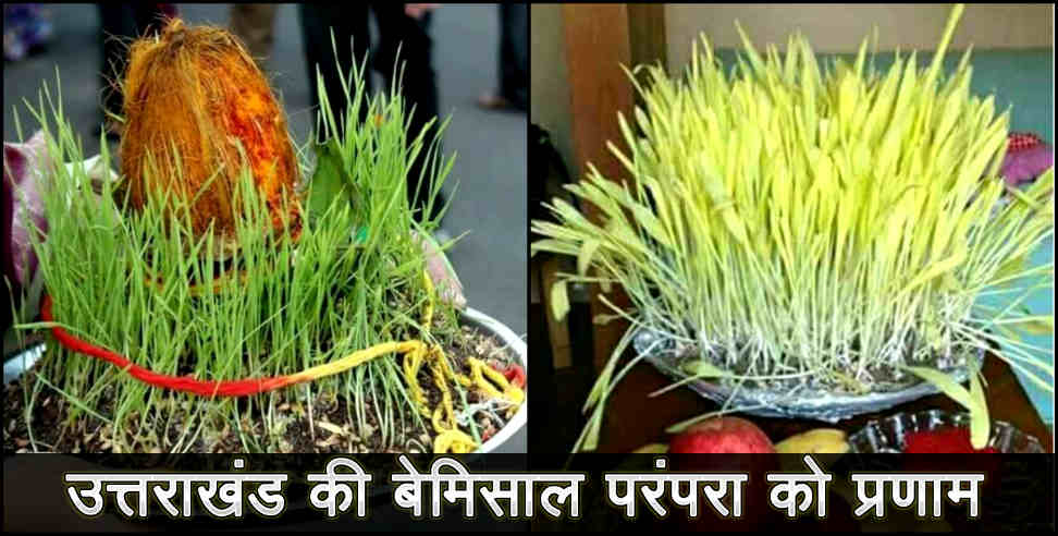 Harela in uttarakhand 