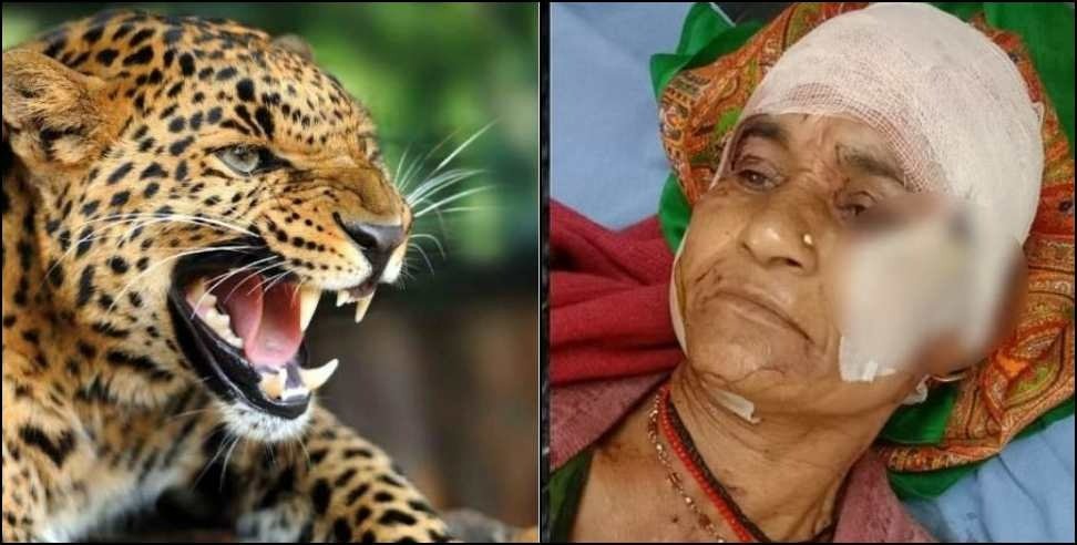 Mother-in-law fought with leopard to save daughter-in-law in Rudraprayag