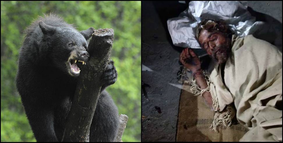 Chamoli News: Fear of bears in Chamoli district