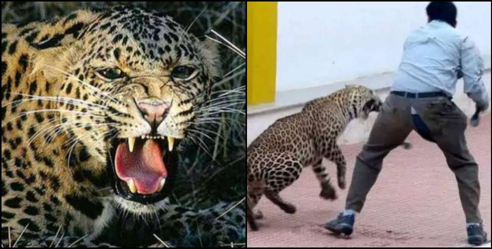 Pauri Garhwal Kotdwar dheeraj fought with leopard to save friend