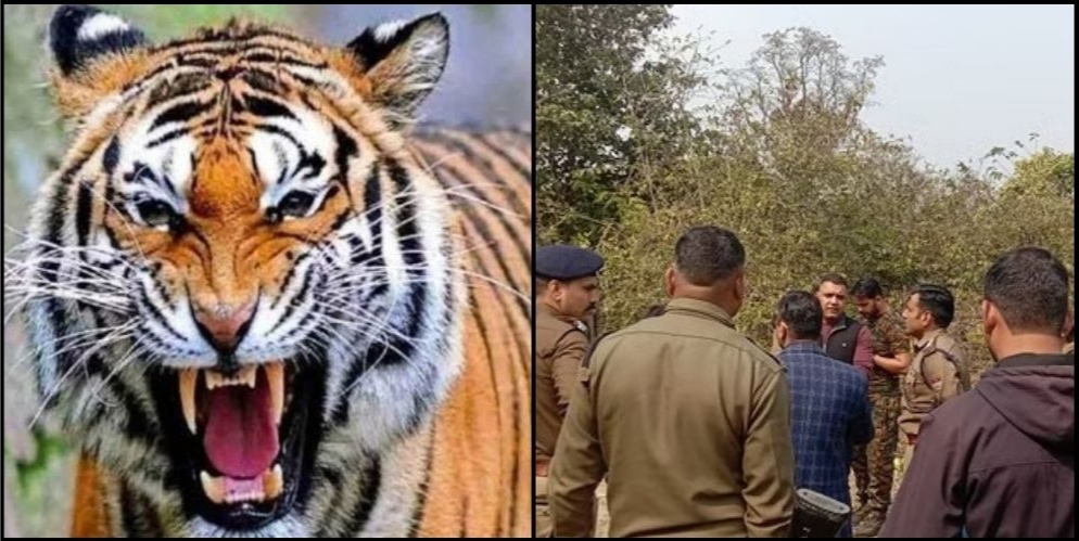 Villagers angry after death of woman in tiger attack