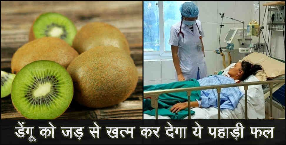 uttarakhand product: Kiwi fruit is best medicine for dengue