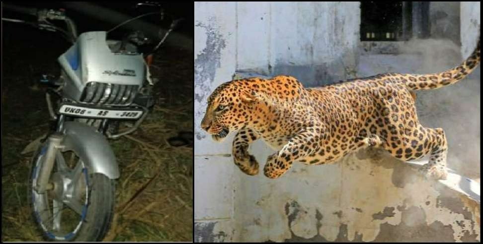Almora ranikhet leopard attack on bike: Leopard attack on moving bike in ranikhet