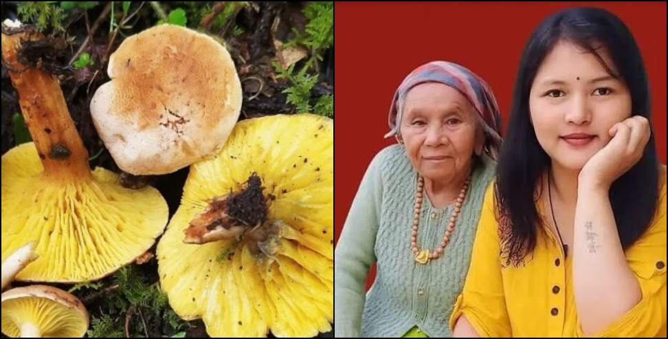 Poisonous mushrooms: Two died after eating wild mushrooms