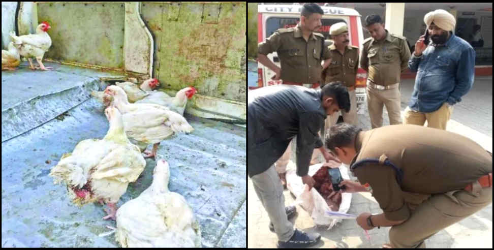 उत्तराखंड न्यूज: scooter fall in ballupur flyover dehradun