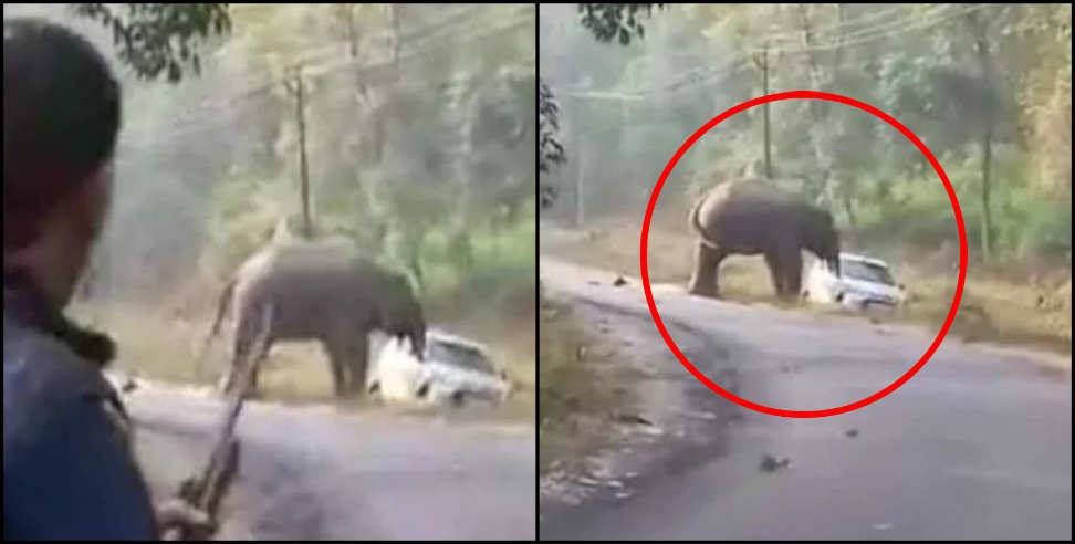 उत्तराखंड: dhangadi range elephant damage teachers car in high way