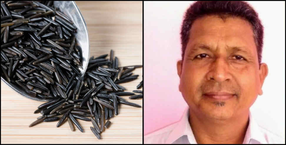 black rice: black rice farming first time in Uttarakhand