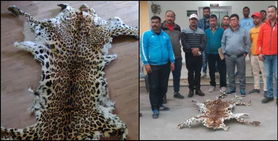 udham singh nagar leopard skin: Smuggler arrested with leopard skin in Udham Singh Nagar