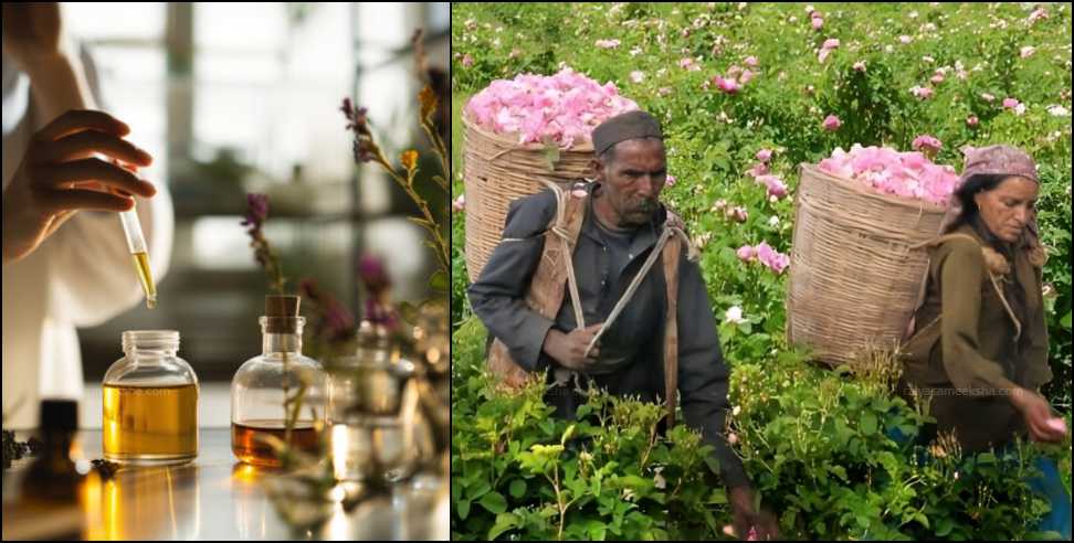 Perfume Lab Built in Uttarakhand: First Govt Perfume Lab to Built in Uttarakhand
