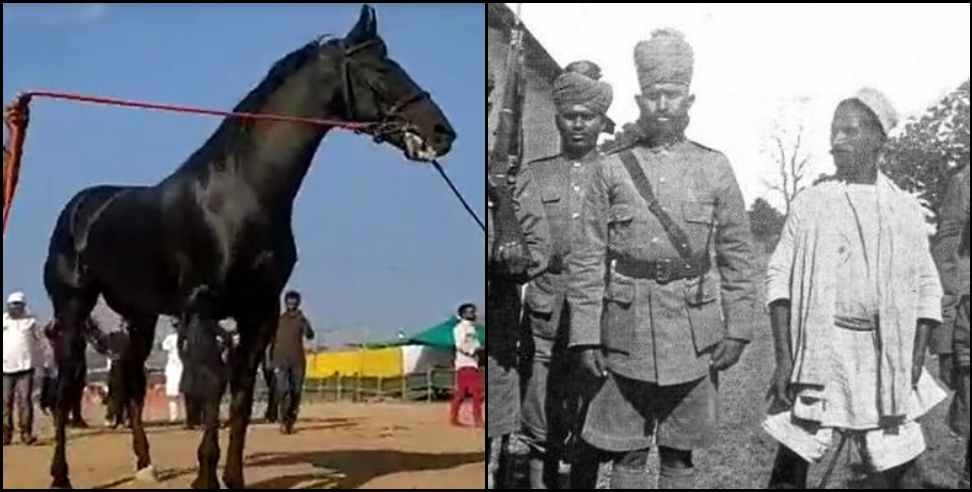 Kashipur chaiti mela: Story Kashipur chaiti fair sale of horses and Sultana daakoo