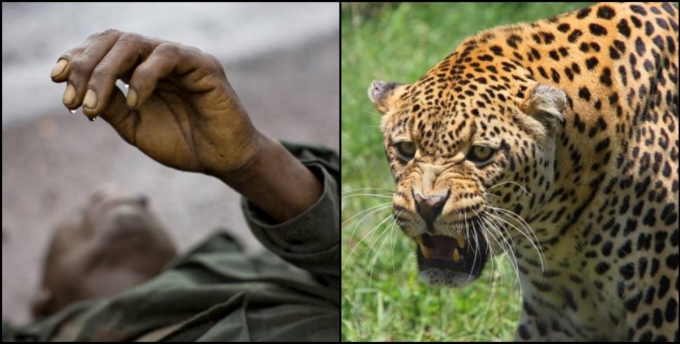 Pauri Garhwal Leopard: Leopard attacks Dinesh Kumar in Bironkhal