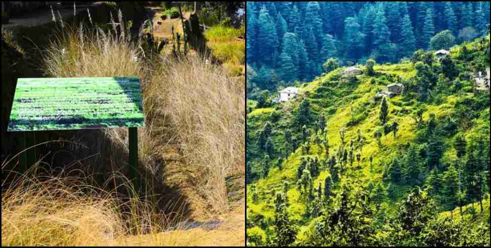 Indias first grass conservatory ranikhet: Indias first grass conservatory in ranikhet uttarakhand