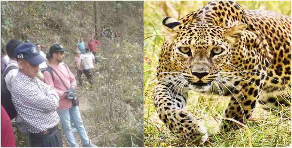 Leopard Killed Youth In Rudraprayag: Leopard Killed Youth In Rudraprayag Dead Body Found On Third Day