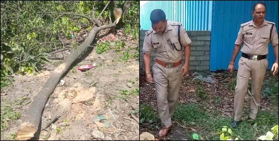 srinagar sandalwood tree stolen: Sandalwood trees stolen from Additional SP house Srinagar Garhwal