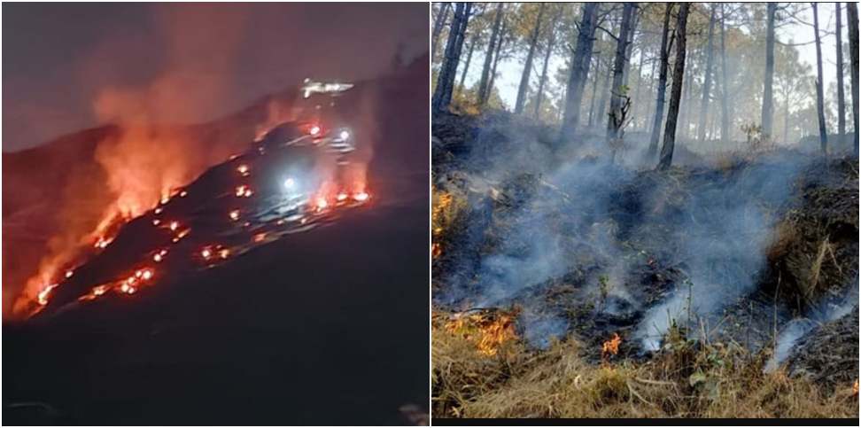 Forests on fire at 31 places in garhwal