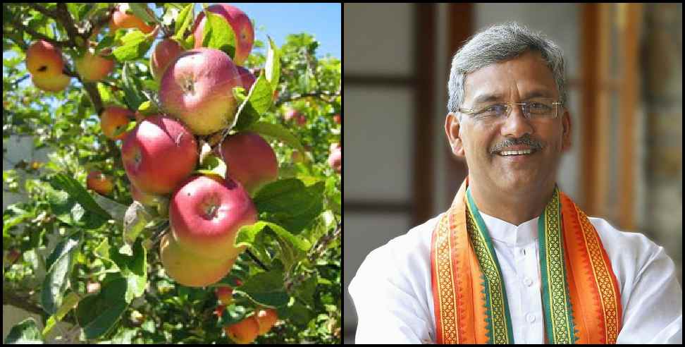 Uttarakhand CM: Good news for fruit farmers in Uttarakhand
